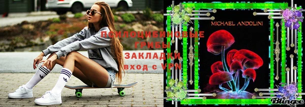 дживик Арсеньев