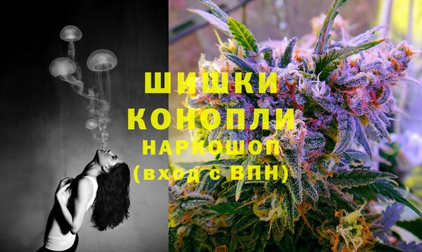 каннабис Майский