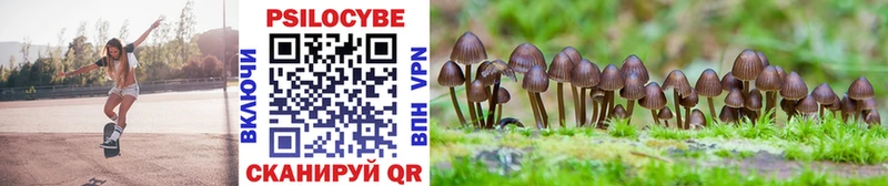 Галлюциногенные грибы Magic Shrooms  закладки  Азов 